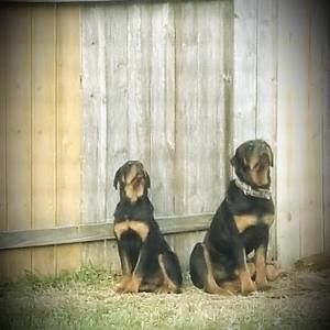 Meet your Posher, Kimberley